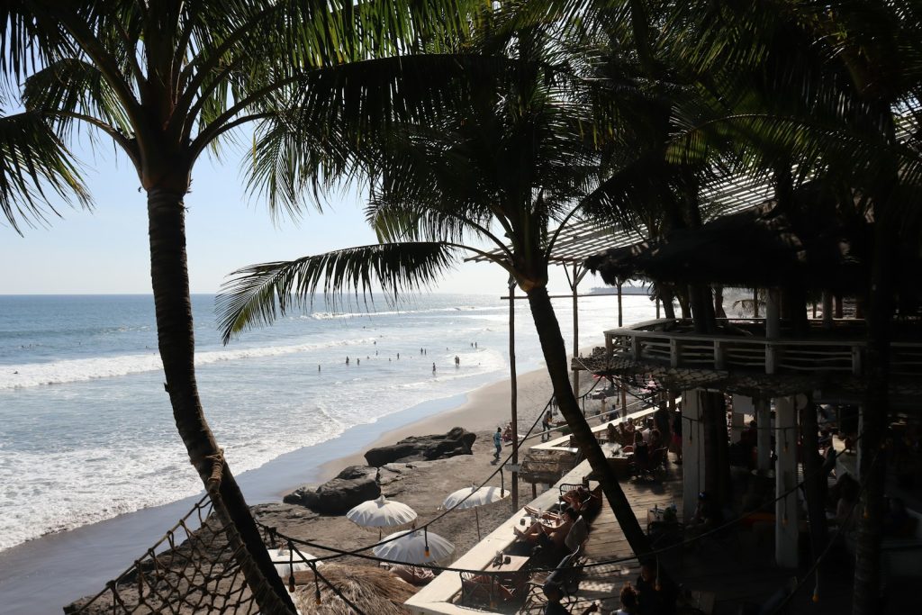 a beach with palm trees and a body of water