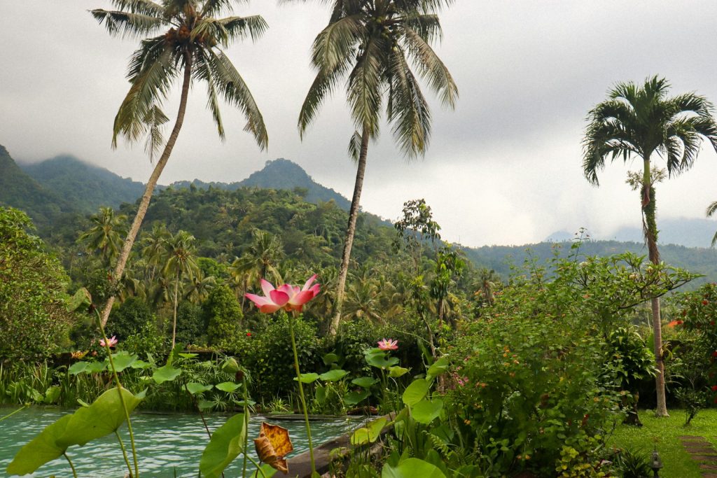 PT PMA for Bali Property: When Foreigners Use a Company